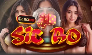 ซิกโบ Leo88 คาสิโนออนไลน์ : ทำไมนิยมเล่นในไทยปี2024 40 sicbo leo88 thumbnail
